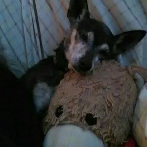 Meet your Posher, Vincent